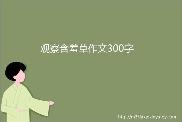 观察含羞草作文300字